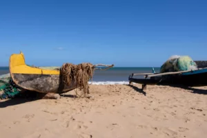 IMG 20240531 WA0045 300x200