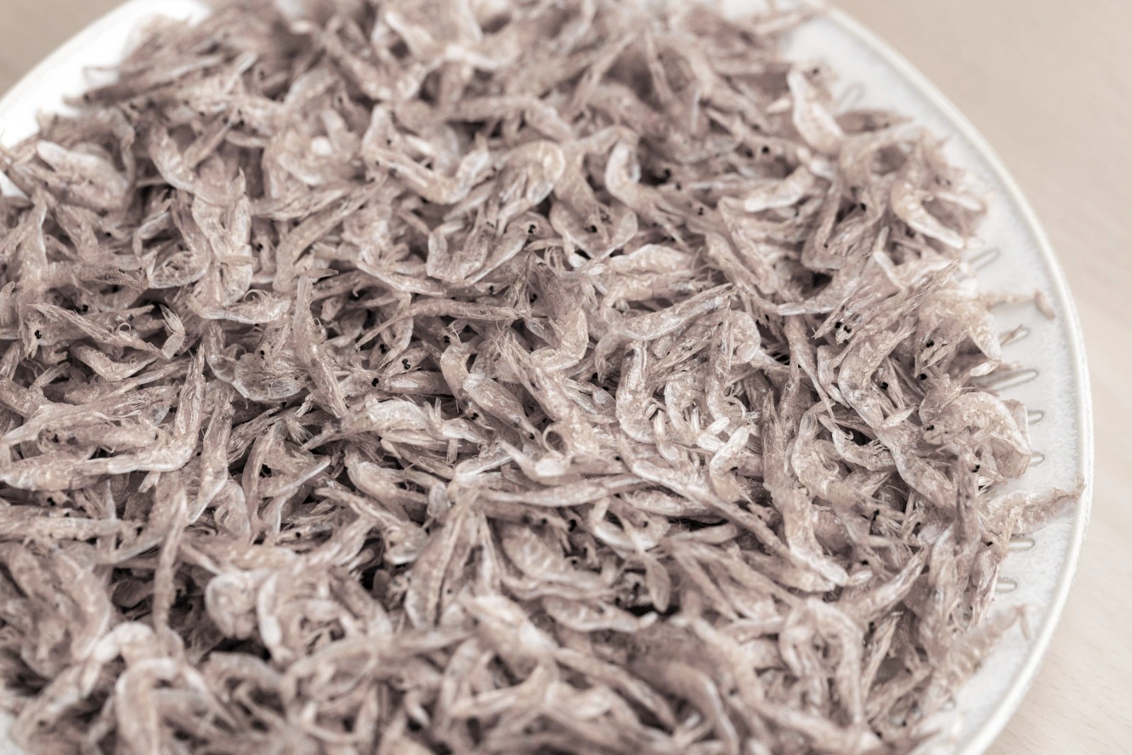 chevaquine blanche en gros Chevaquine blanche