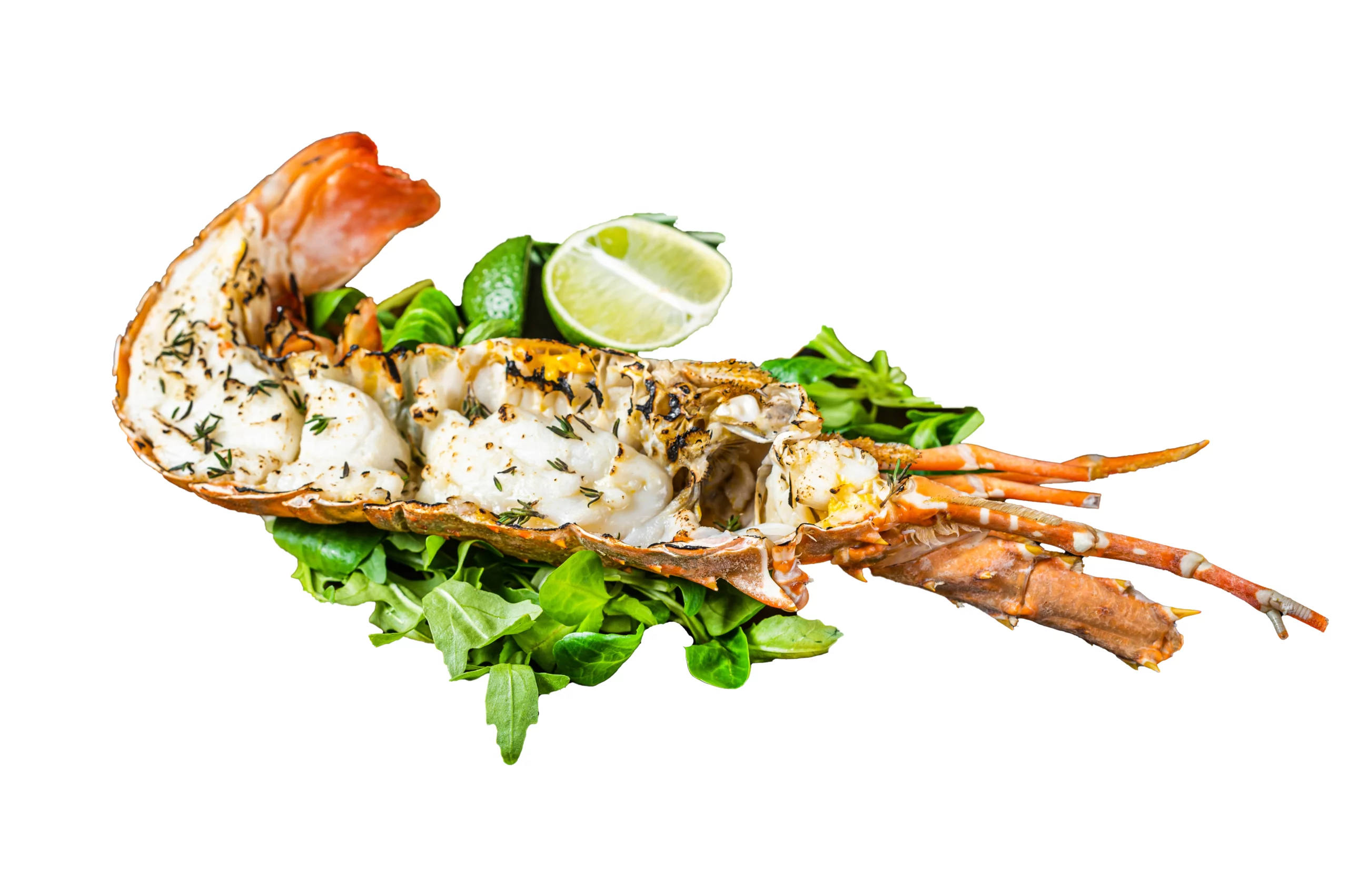 Queue de langouste-grillée Queue de langouste – Image 2