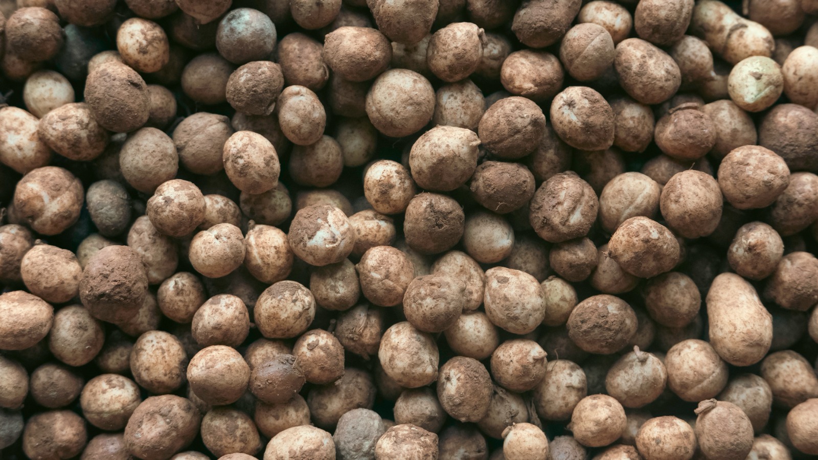 pois de terre Pois de Bambara