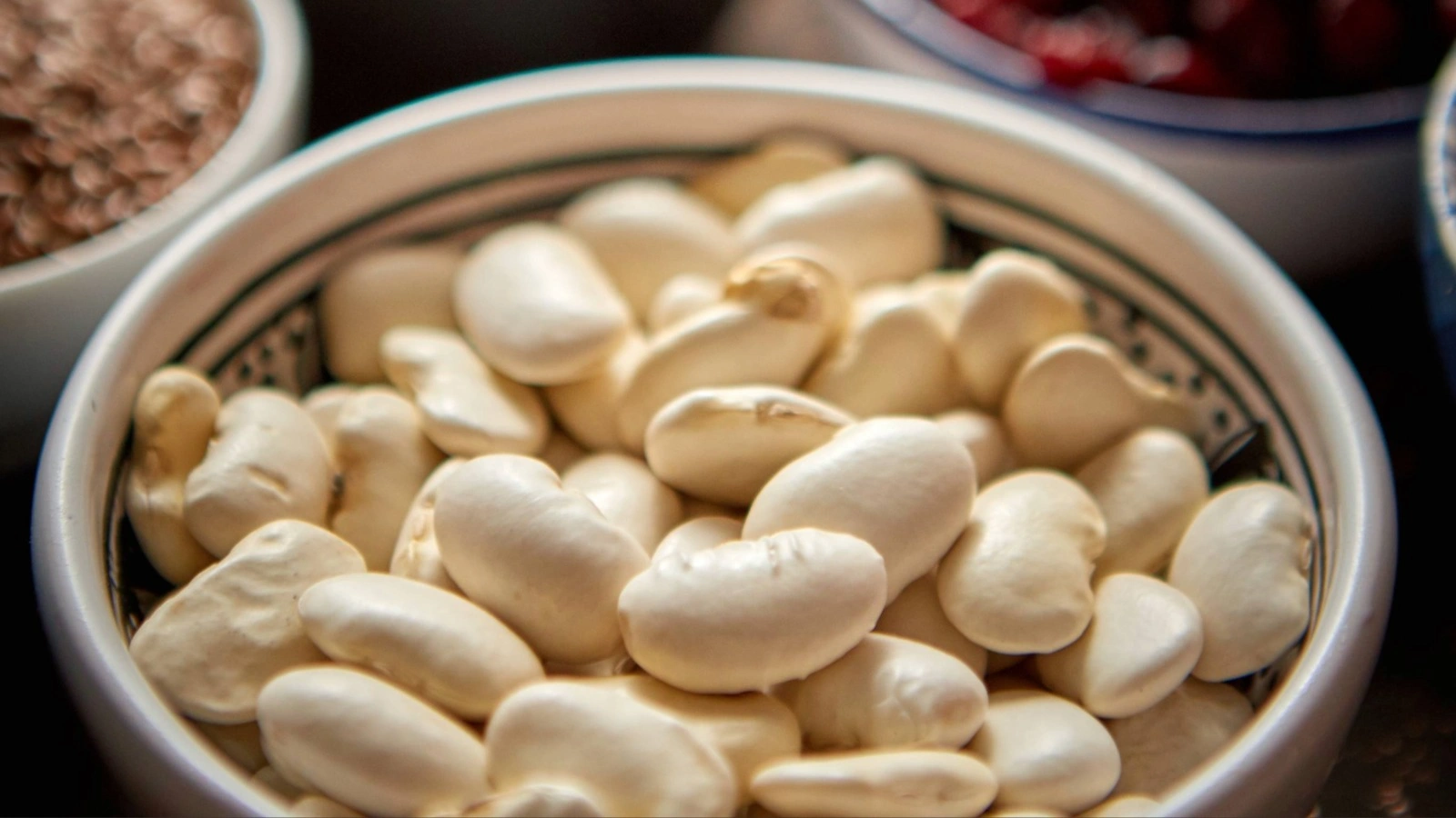 pois du cap biomas Pois du Cap – Image 3