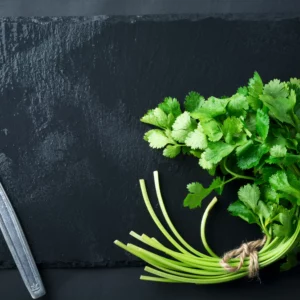 Coriandre