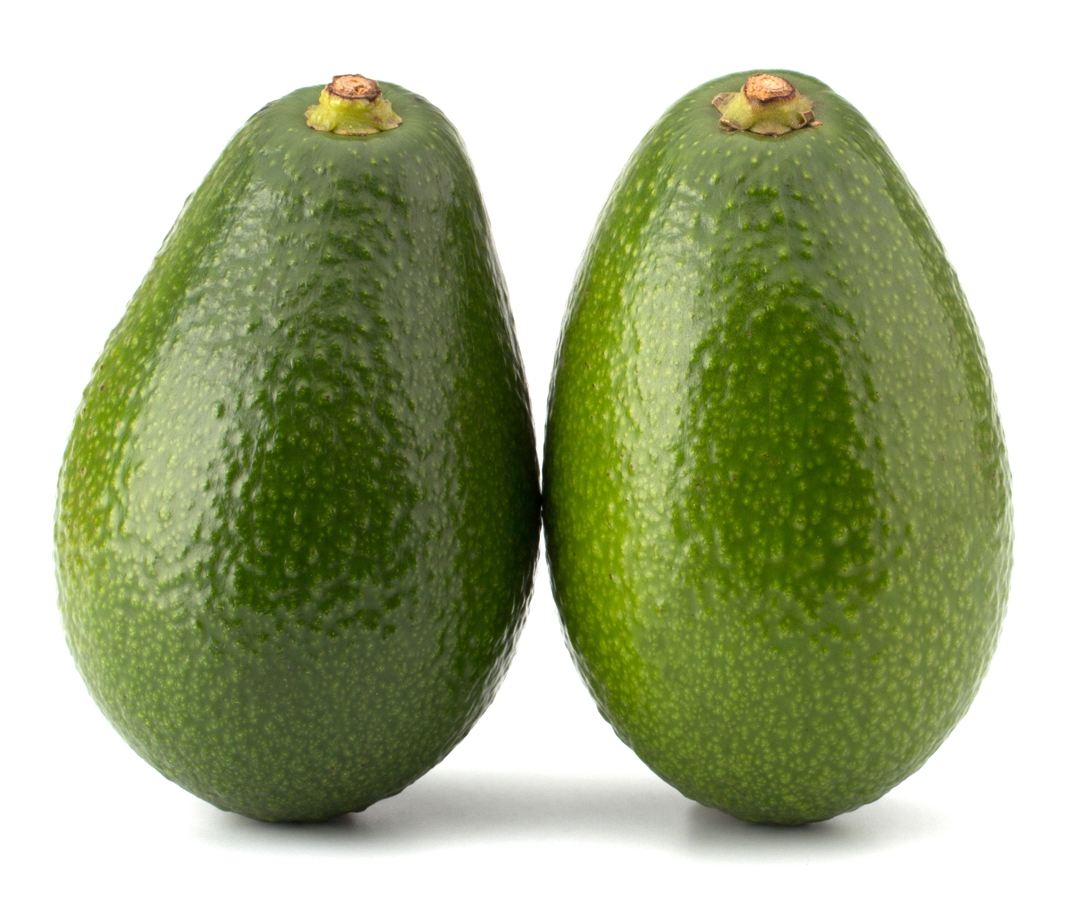 fruit-d'avocat-frais Avocat – Image 3