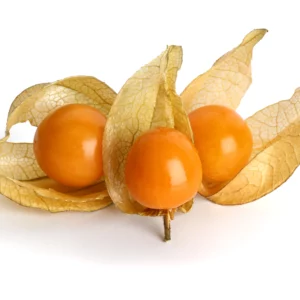 Pokpok physalis